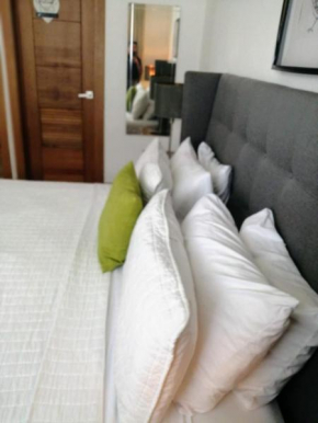 Lujoso apartamento Santo Domingo DR